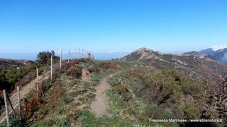 nte Scuderi-23-11-2014 09-48-15